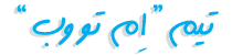 تیم طراحی ام تو وب